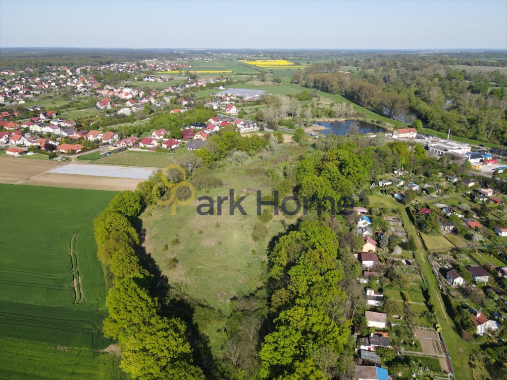 Działka inwestycyjna na sprzedaż Serby  18 900m2 Foto 5