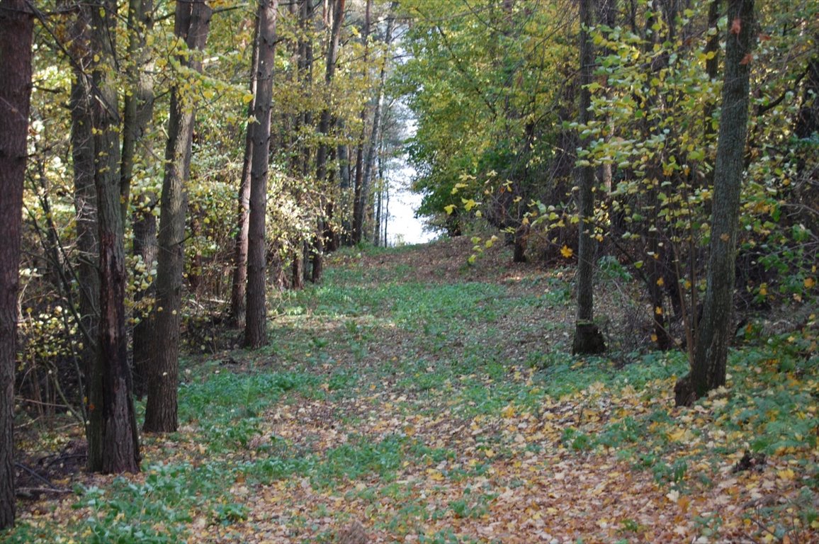 Działka rekreacyjna na sprzedaż Stare Juchy, Stare Juchy  3 000m2 Foto 4