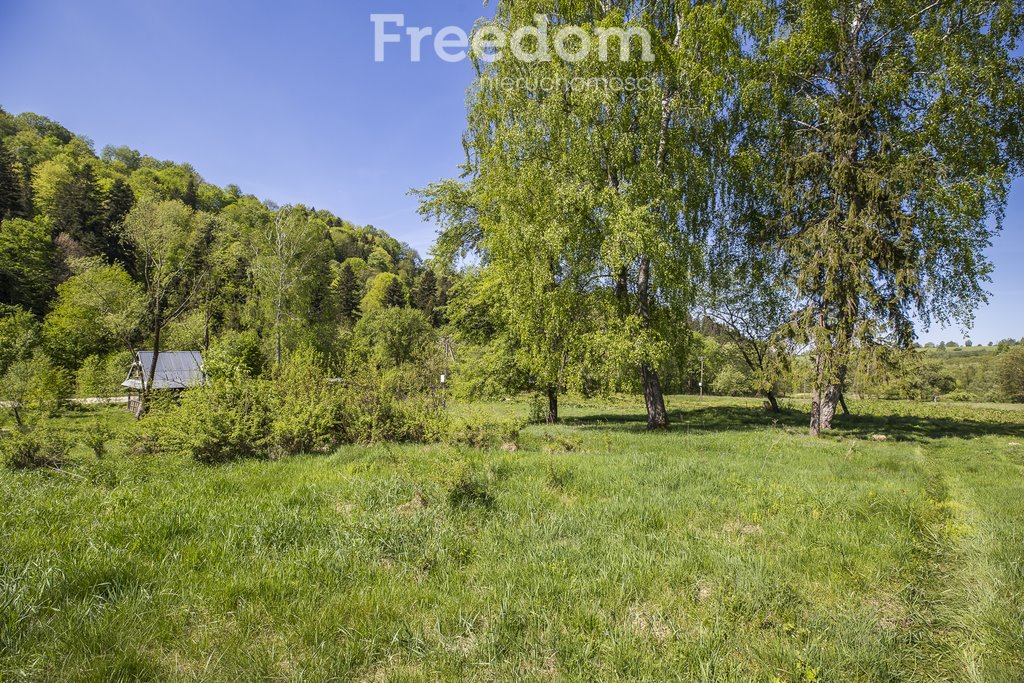 Działka budowlana na sprzedaż Polana  4 784m2 Foto 8