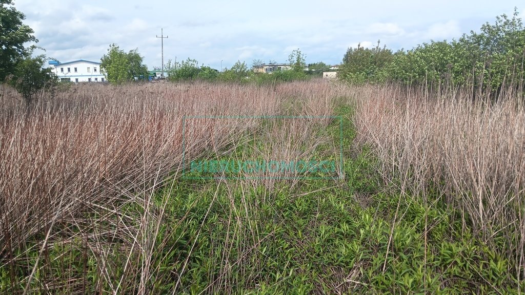 Działka komercyjna na sprzedaż Janki  2 400m2 Foto 6