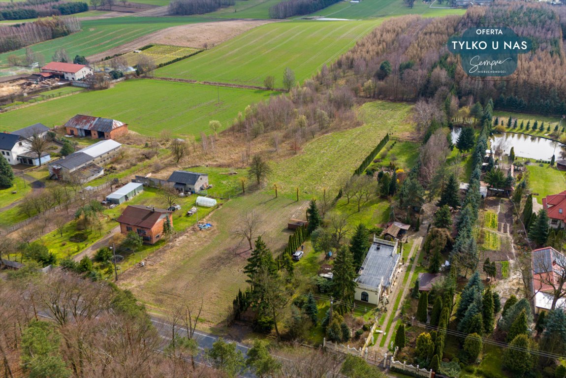 Działka budowlana na sprzedaż Paprotnia  12 600m2 Foto 12