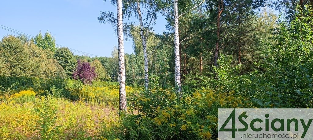 Działka budowlana na sprzedaż Zalesie  16 500m2 Foto 1