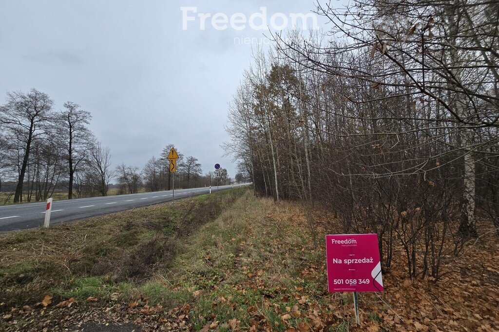 Działka inwestycyjna na sprzedaż Horbów-Kolonia  49 600m2 Foto 5