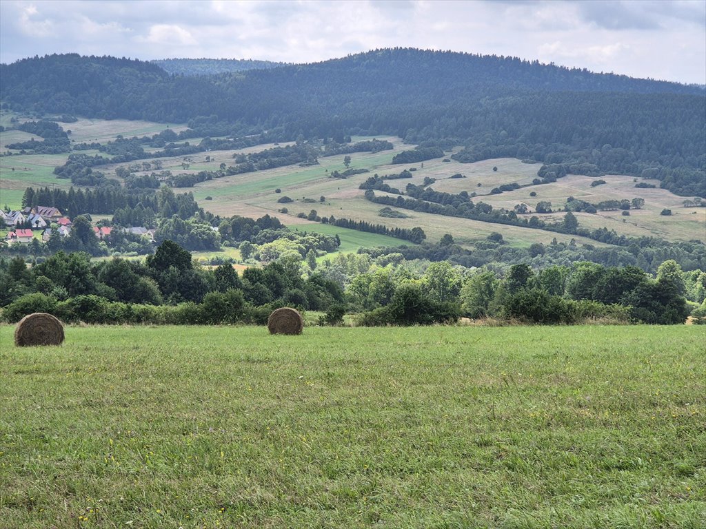 Działka rolna na sprzedaż Posada Jaśliska  9 300m2 Foto 13