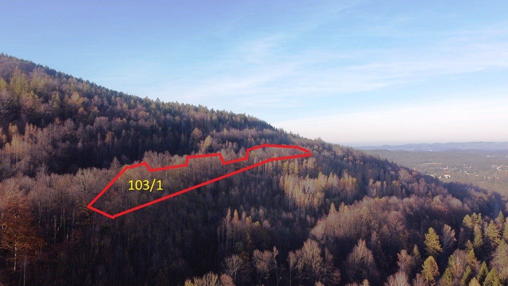 Las w Karpaczu 14 544 m², las w sprzedaży - polecam! Karkonoski  14 544m2 Foto 1
