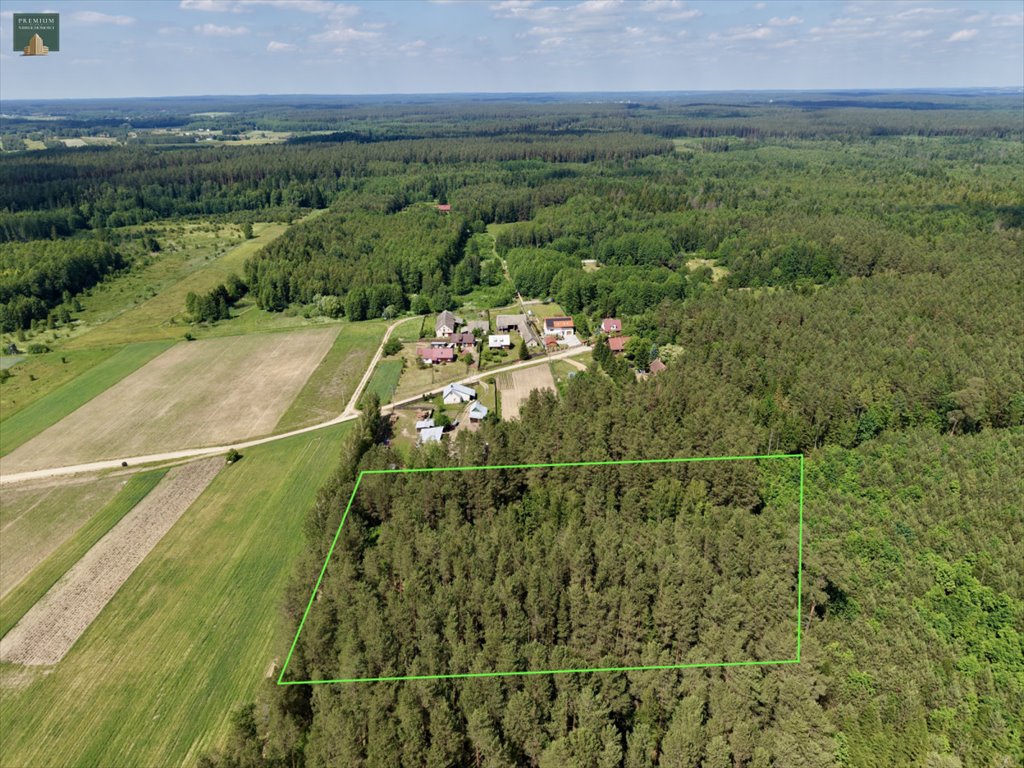 Działka 8 674 m² z lasem i mediami, Horodnianka Horodnianka  8 674m2 Foto 1