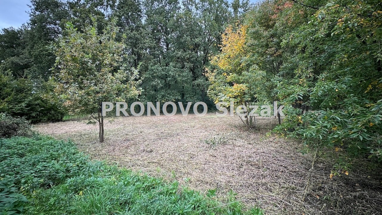 Działka inna na sprzedaż Oborniki Ślaskie, Siemianice  1 174m2 Foto 4