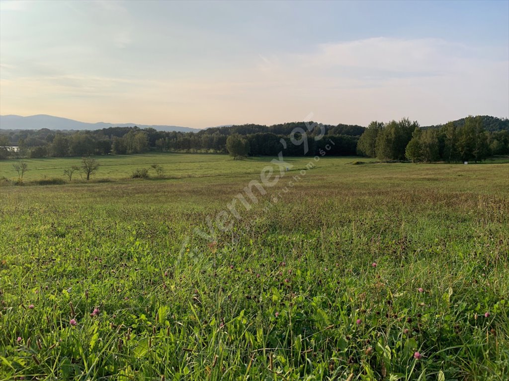 Działka budowlana na sprzedaż Szklarska Poręba  2 150m2 Foto 4