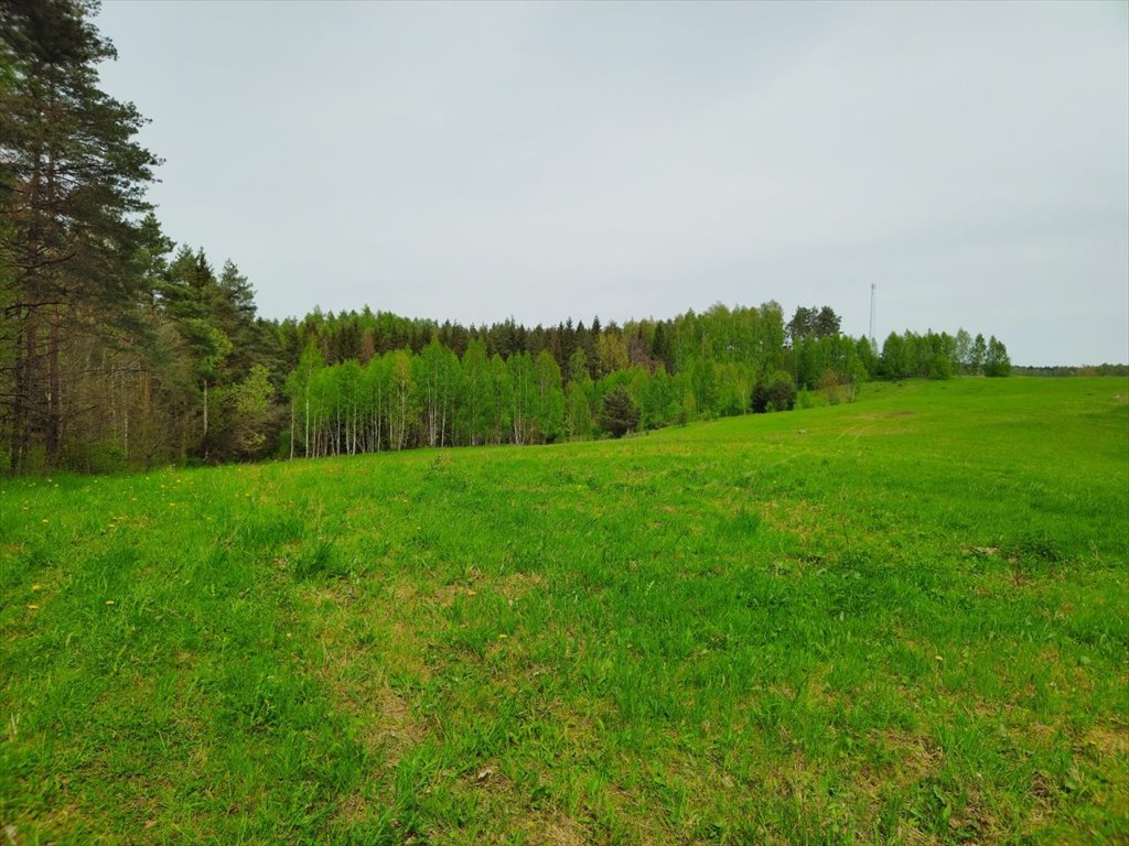 Działka inna na sprzedaż Danowo, Danowo  1 700m2 Foto 19