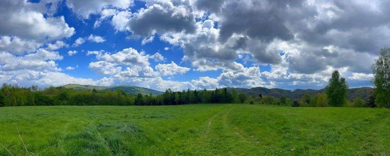 Działka rekreacyjna na sprzedaż Dębna  1 200m2 Foto 7