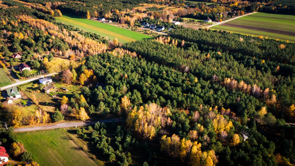 Działka budowlana na sprzedaż Wodzierady  2 618m2 Foto 9