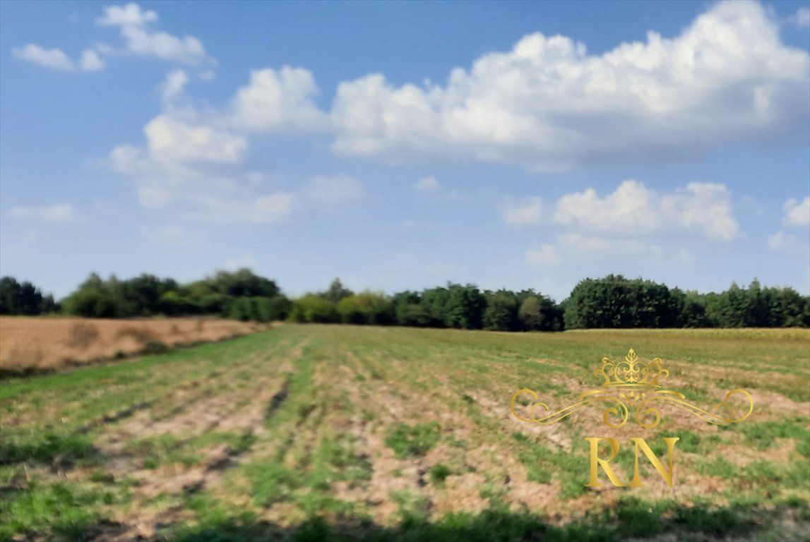 Działka rolna na sprzedaż Rudno  10 400m2 Foto 2