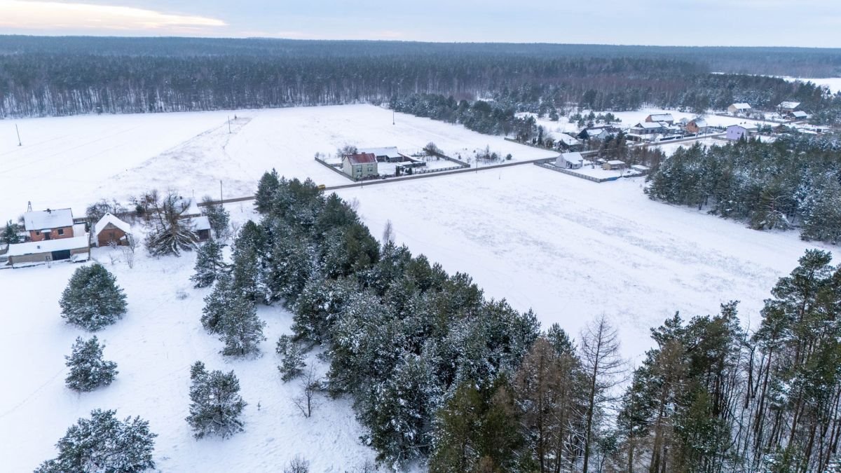 Działka budowlana na sprzedaż Koski Pierwsze  3 754m2 Foto 10