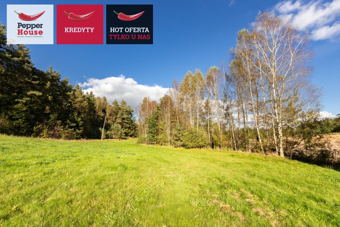 Działka budowlana na sprzedaż Rąb, Trzy Rzeki, Górna  165 000m2 Foto 1