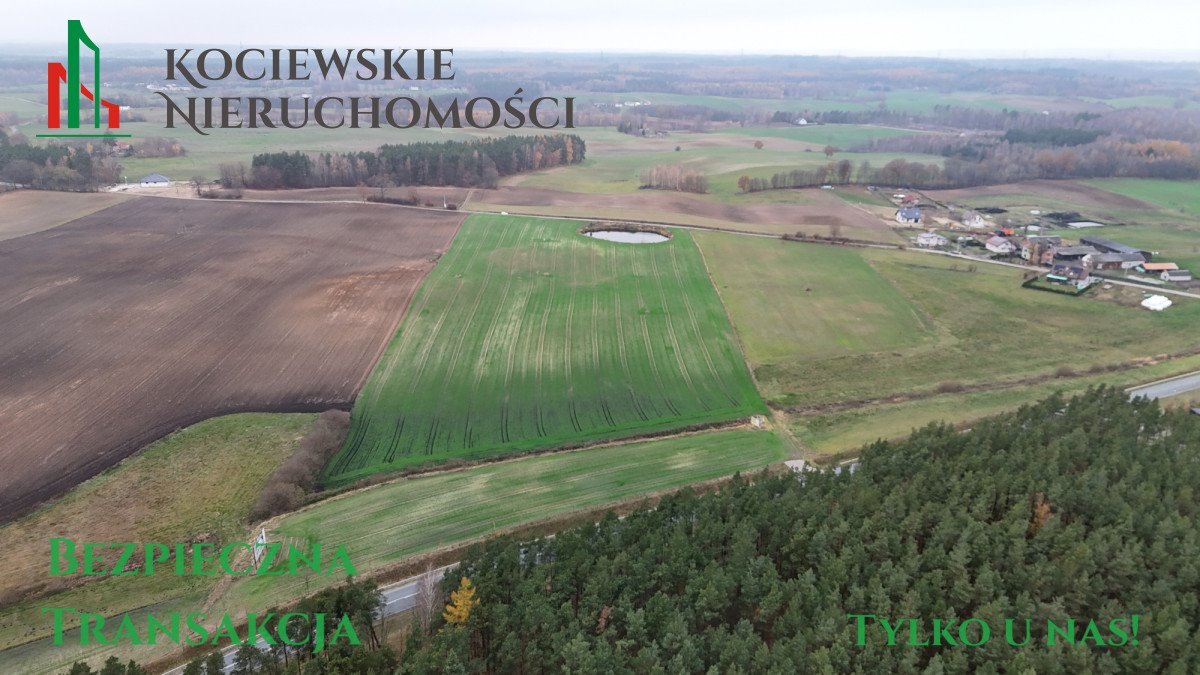 Działka budowlana na sprzedaż Trzcińsk  3 032m2 Foto 10