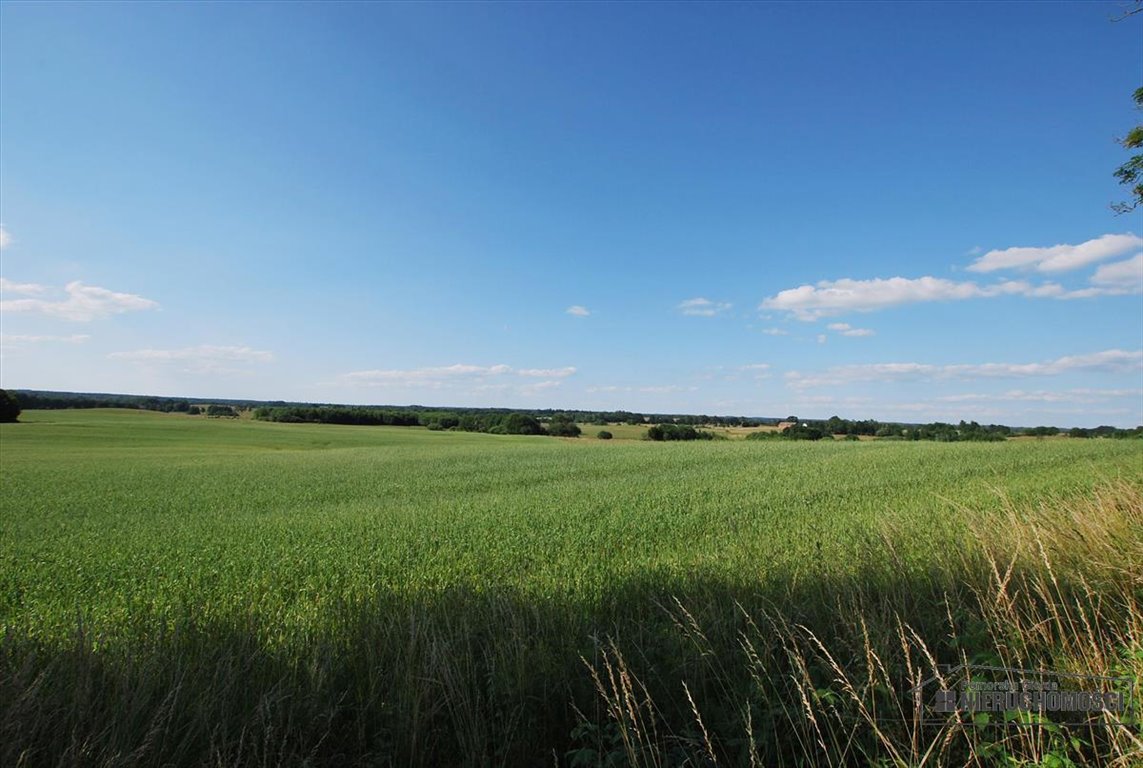 Działka inna na sprzedaż Mieszałki  139 900m2 Foto 11