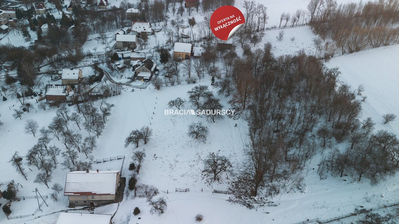 Działka budowlana na sprzedaż Czerna  3 600m2 Foto 6