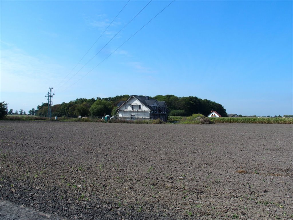 Działka budowlana na sprzedaż Ceradz Dolny  1 060m2 Foto 4