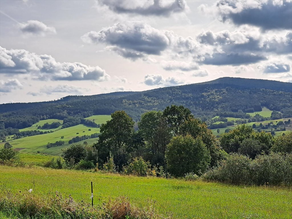 Działka rolna na sprzedaż Posada Jaśliska  9 900m2 Foto 2