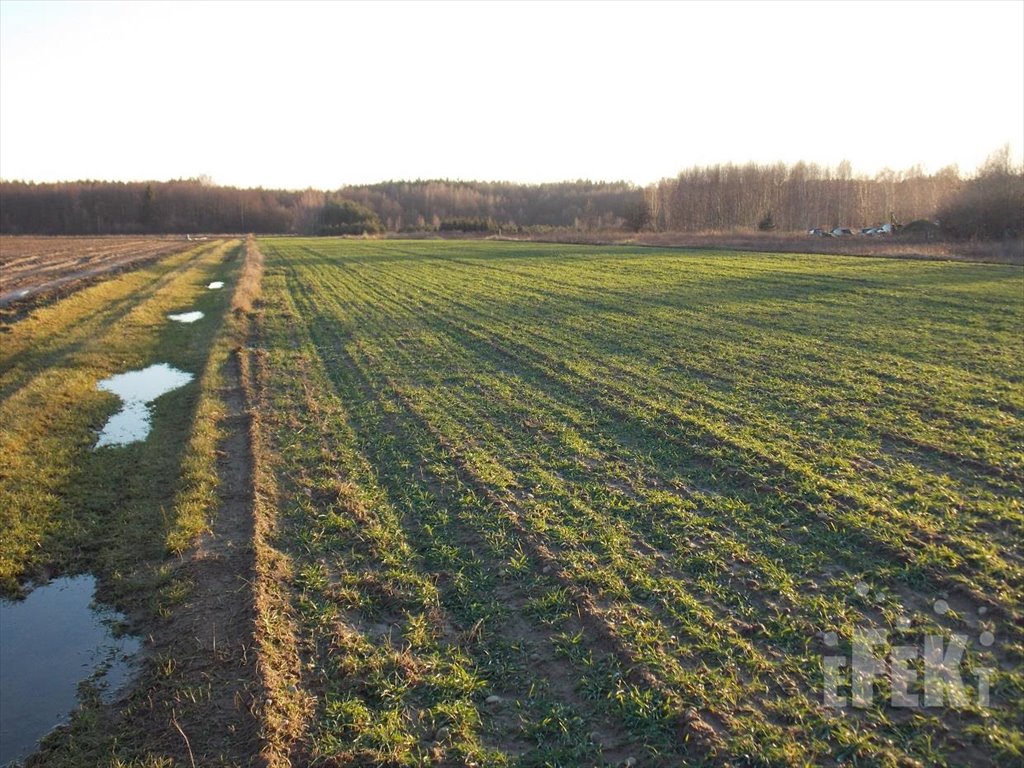 Działka rolna na sprzedaż Lisowola  10 900m2 Foto 6