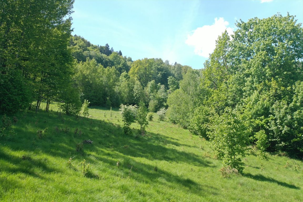 Działka 5 000 m² z widokiem na kotlinę Jeleniogórską Piechowice  5 000m2 Foto 1