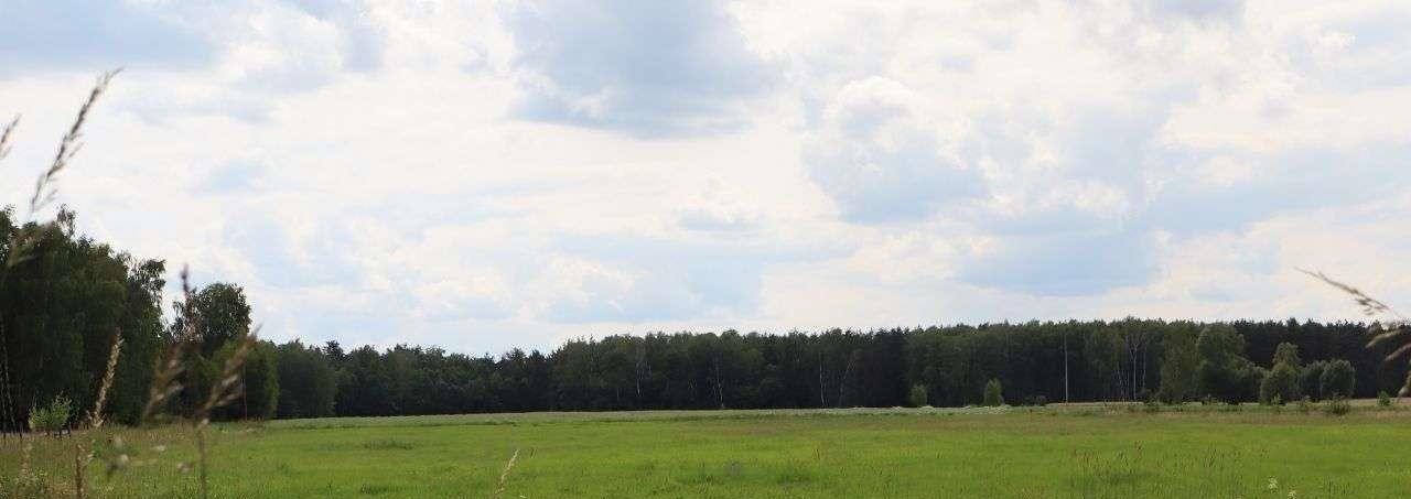 Działka siedliskowa na sprzedaż Czepielin-Kolonia  1 650m2 Foto 3