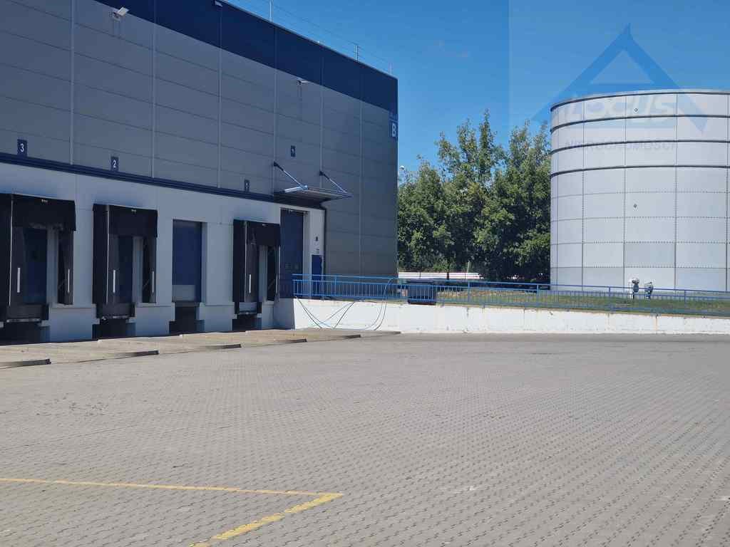 Magazyn na wynajem Ołtarzew  2 500m2 Foto 2