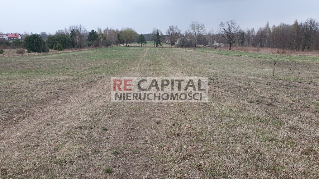 Działka budowlana na sprzedaż Powązki  1 500m2 Foto 1