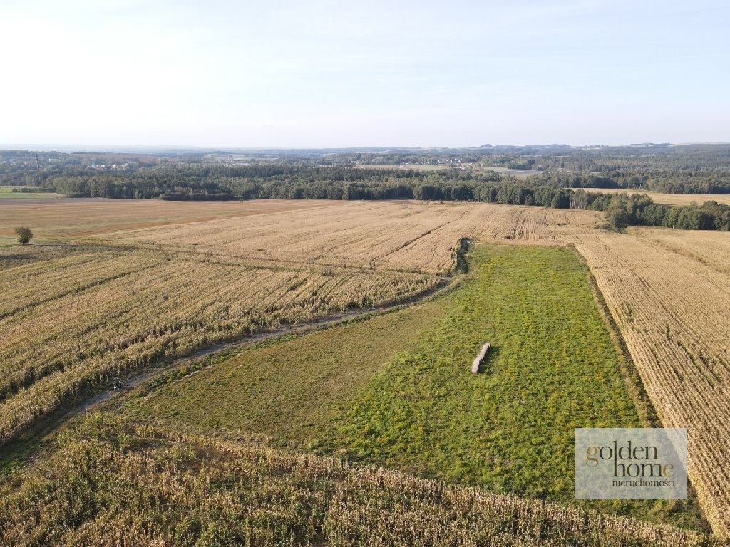 Działka budowlana na sprzedaż Krzewie Wielkie, Krzewie Wielkie  1 217m2 Foto 4