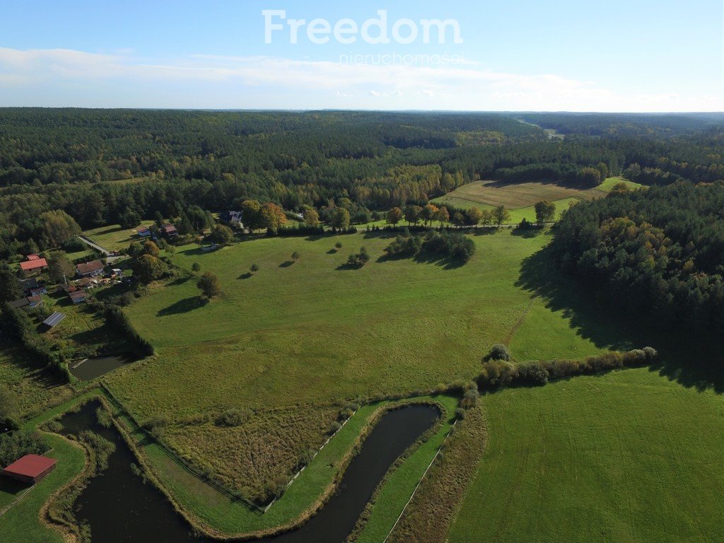 Działka inna na sprzedaż Rychnowska Wola  7 110m2 Foto 6