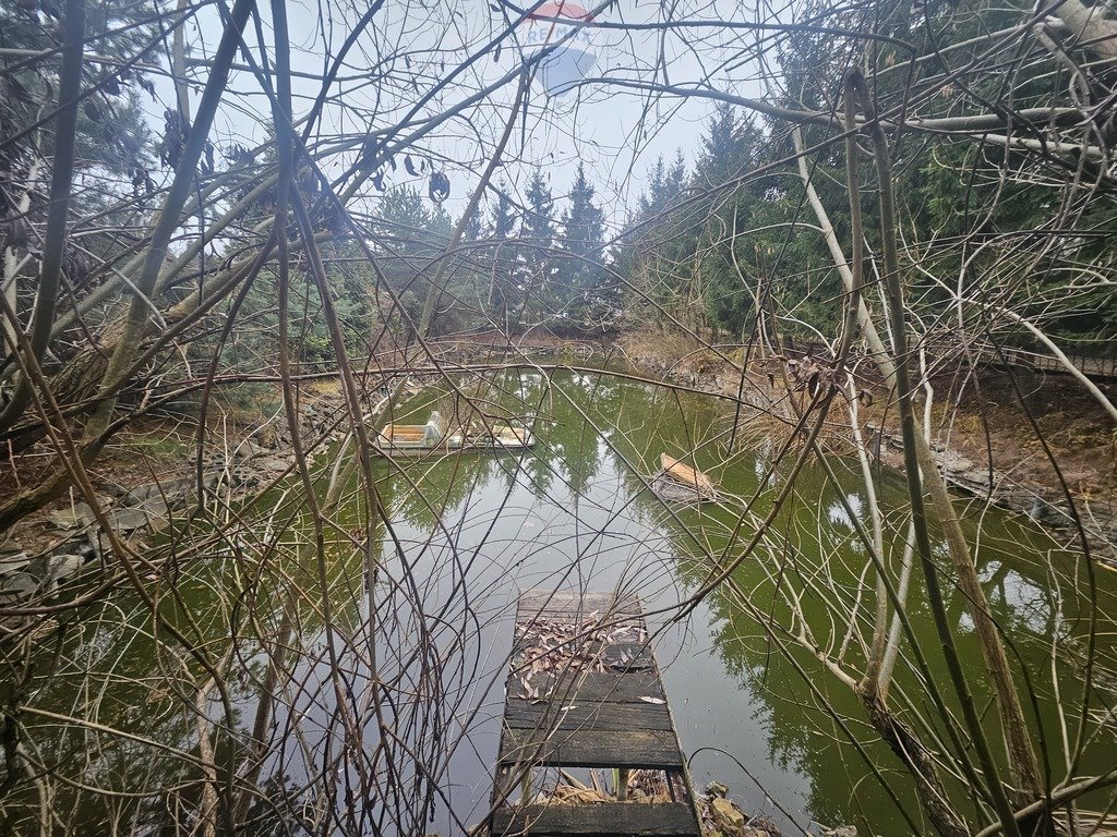 Działka rekreacyjna na sprzedaż Michałów-Reginów  800m2 Foto 3