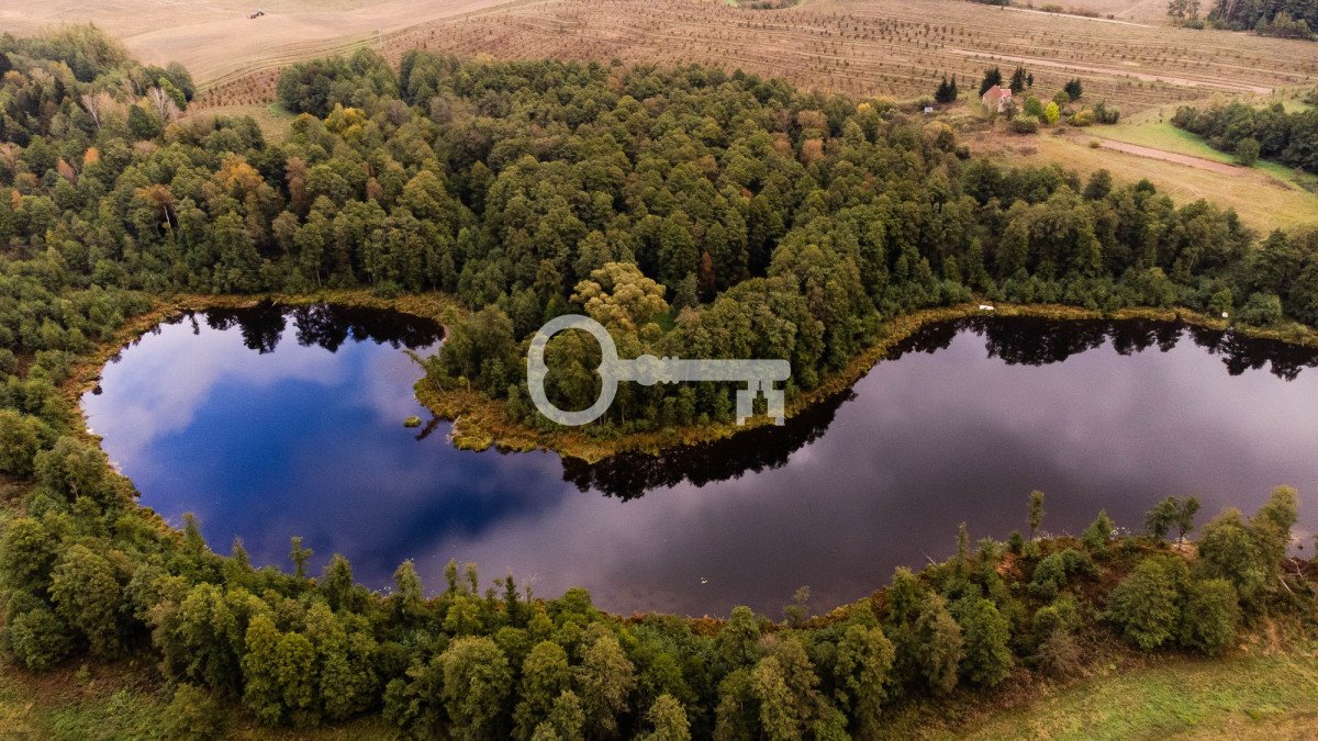 Zapraszam do zakupu działki 15 ha z jeziorem i lasem w Mazurach Malinka  153 738m2 Foto 1