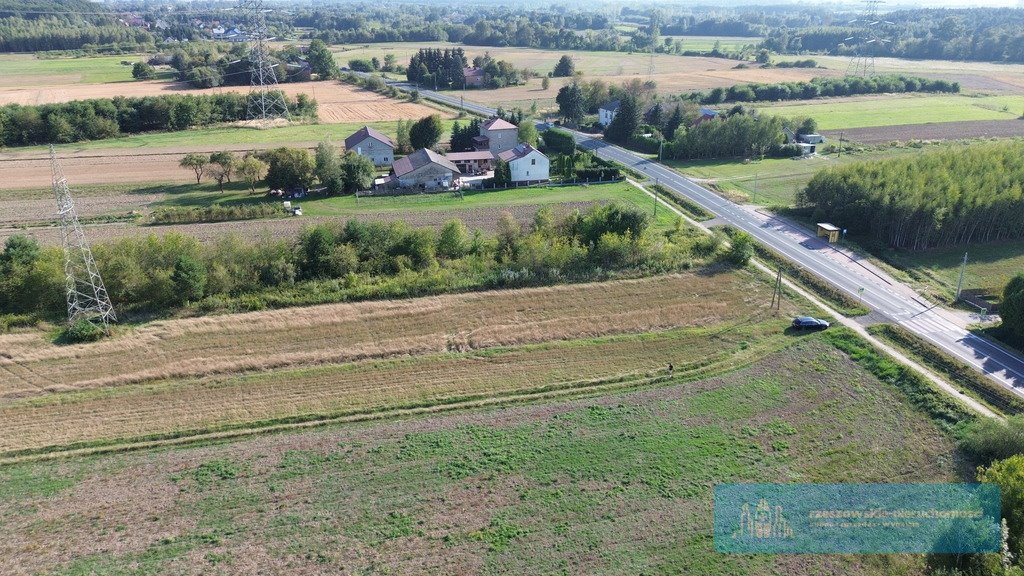 Działka budowlana na sprzedaż Pustków  10 118m2 Foto 2