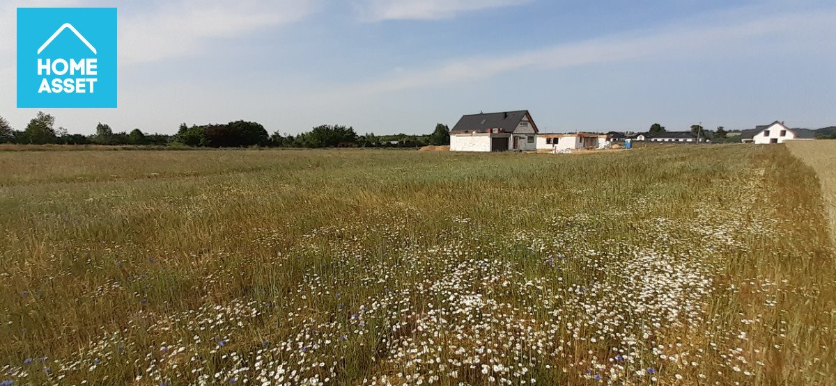 Działka budowlana na sprzedaż Warzno, Górna  1 027m2 Foto 7