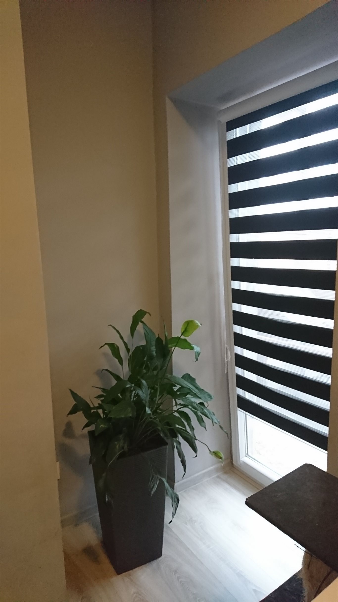 Mieszkanie czteropokojowe na sprzedaż Chrzanów, centrum, 3 maja 112m2 Foto 1 Mieszkanie czteropokojowe na sprzedaż Chrzanów, centrum, 3 maja 112m2 Foto 1