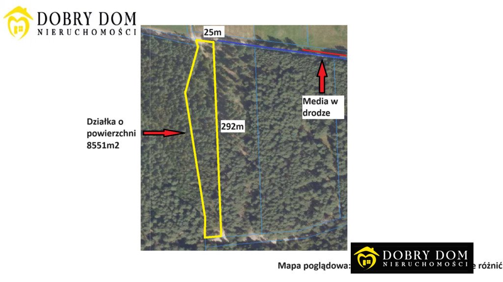 Działka leśna na sprzedaż Chojnowo  8 551m2 Foto 1