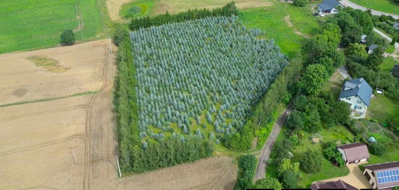 Działka budowlana na sprzedaż Pietrzwałd  1 150m2 Foto 1