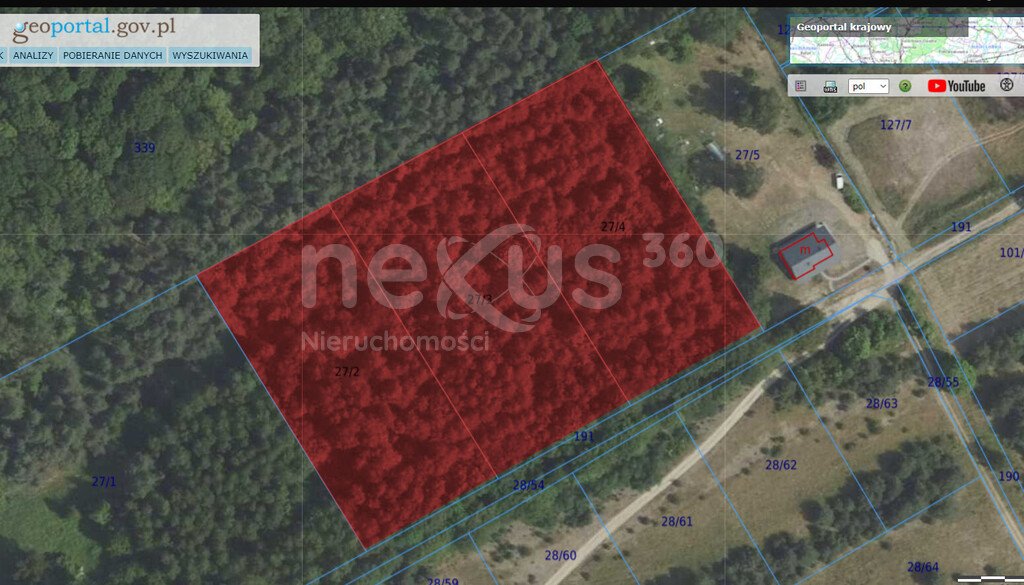 Działka 15 000 m² blisko lasu z dostępem do prądu Drogoszowice  15 000m2 Foto 1