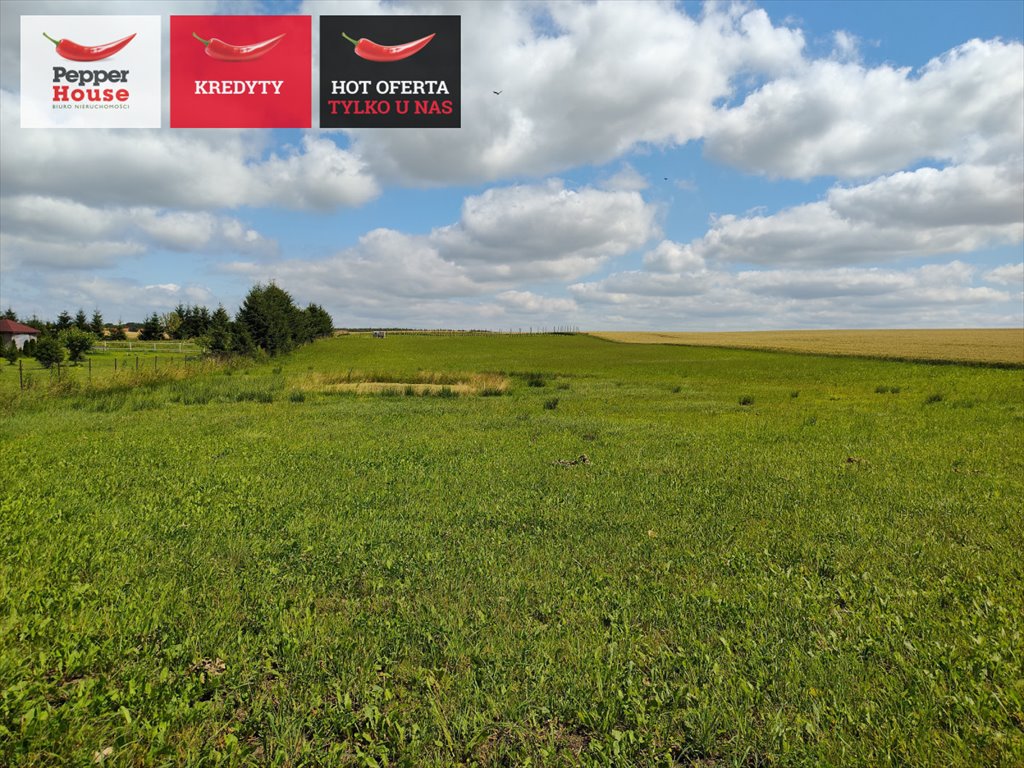 Działka 1527 m² z stawem w Stegnach - polecam Stegny  1 527m2 Foto 1