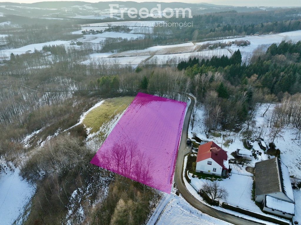 Działka budowlana na sprzedaż Błażkowa  4 544m2 Foto 1