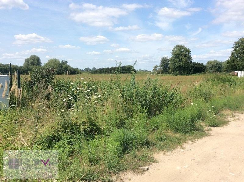 Działka inna na sprzedaż Międzylesie  1 000m2 Foto 2