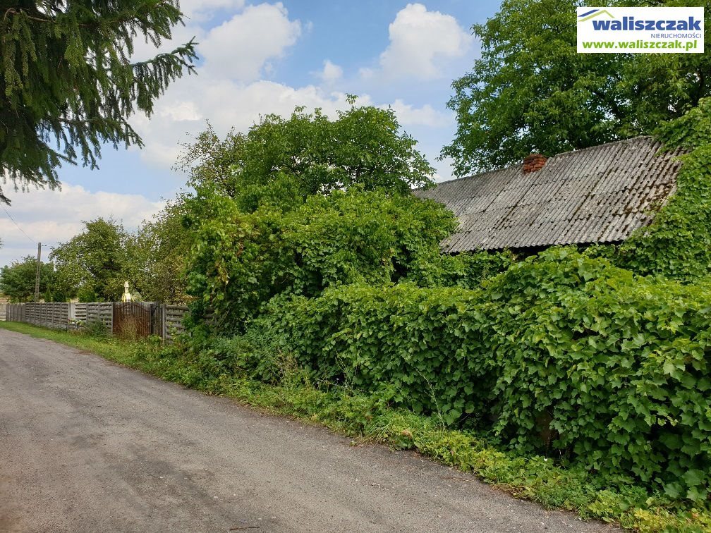 Działka budowlana na sprzedaż Opoczno, Kraśnica 20 310m2 Foto 1 Działka budowlana na sprzedaż Opoczno, Kraśnica 20 310m2 Foto 1
