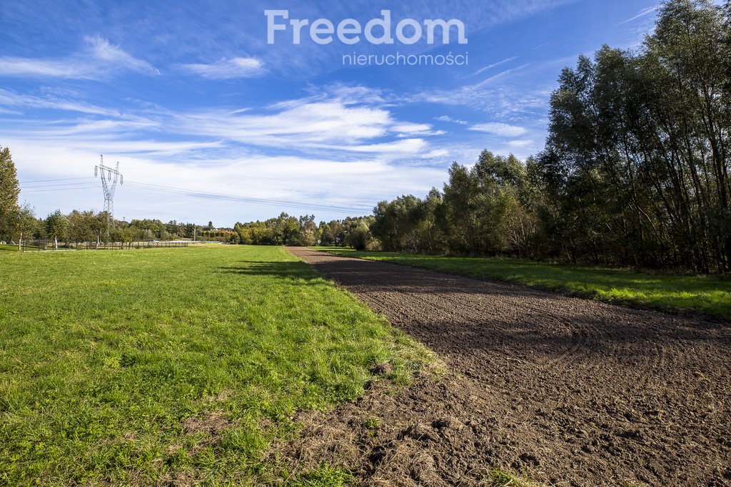 Działka inwestycyjna na sprzedaż Niechobrz  6 000m2 Foto 11