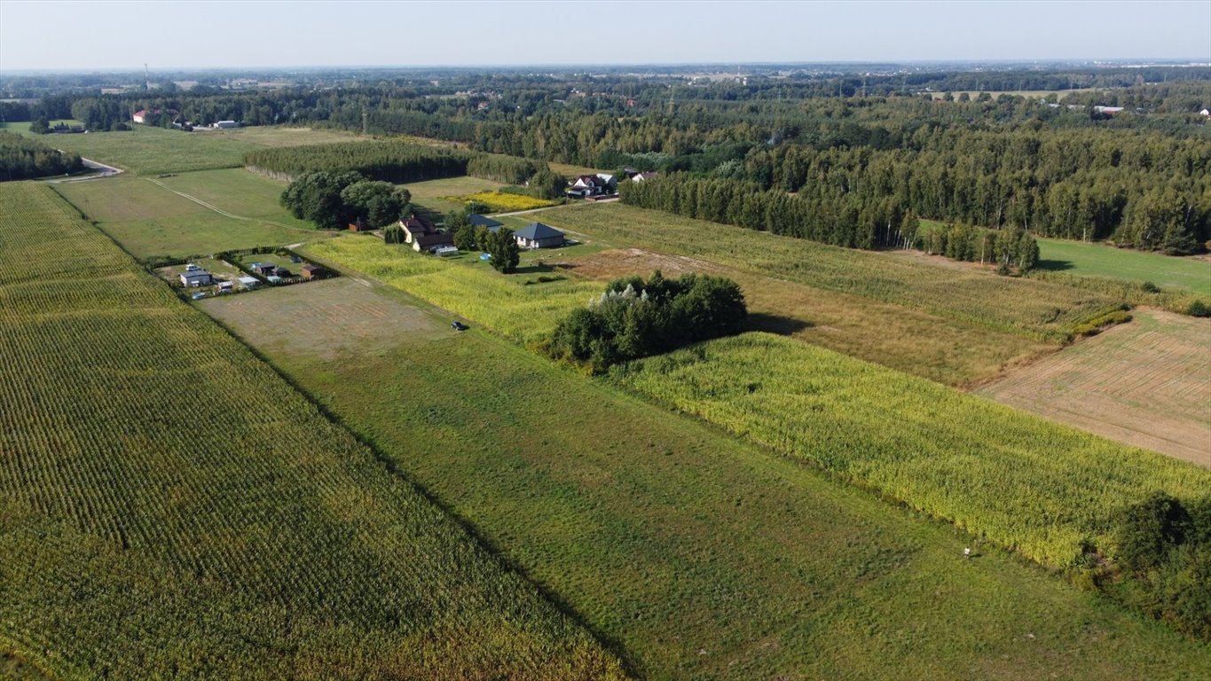 Działka rolna na sprzedaż Feliksów  5 568m2 Foto 9