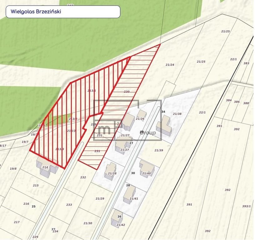 Działka budowlana na sprzedaż Wielgolas Brzeziński, Azalii  5 123m2 Foto 1