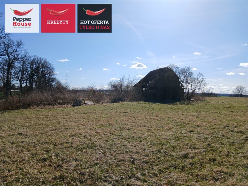 Działka 10,75 ha z rzeką, ruinami i potencjałem inwestycyjnym Dobry  107 500m2 Foto 1