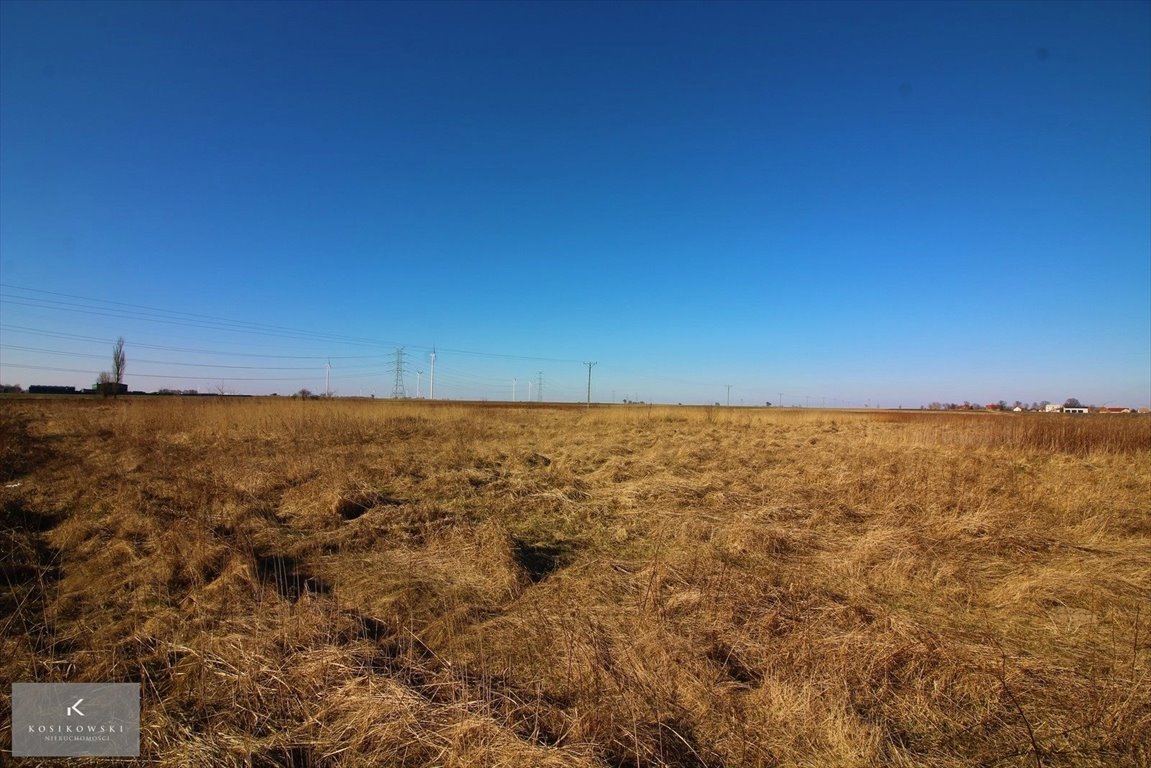 Działka inna na sprzedaż Namysłów, Gmina Namysłów  17 700m2 Foto 8