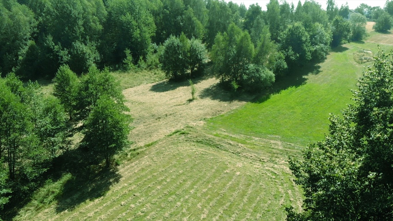 Zdjęcie 3