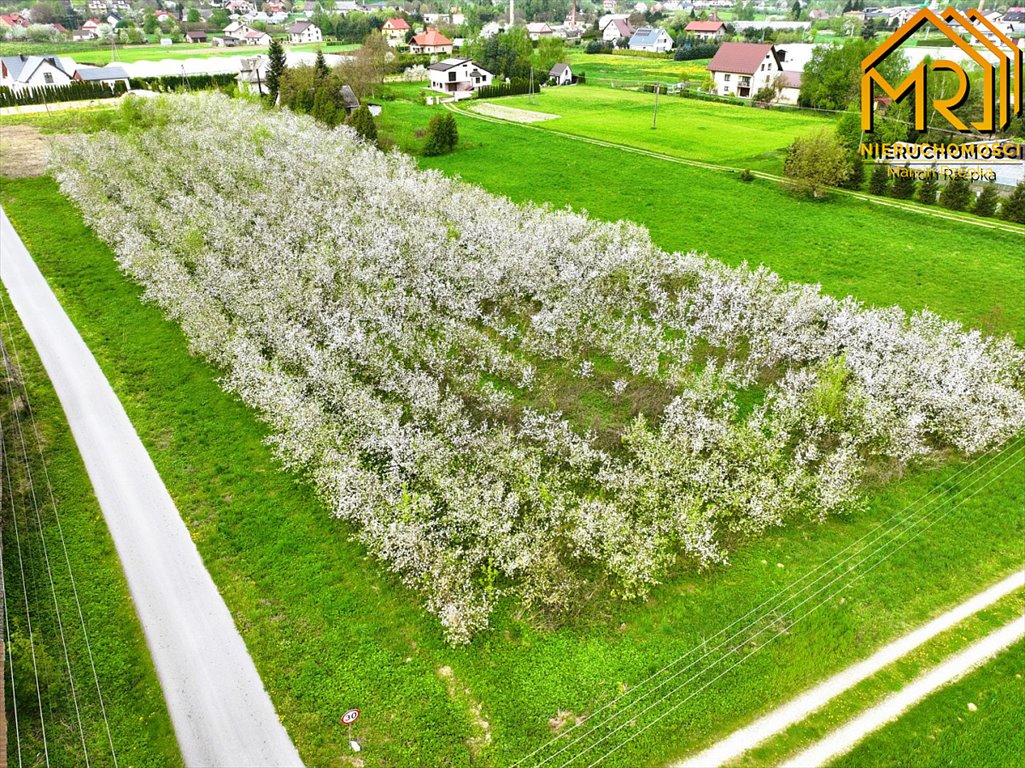 Działka budowlana na sprzedaż Czchów, Dworska  1 400m2 Foto 22