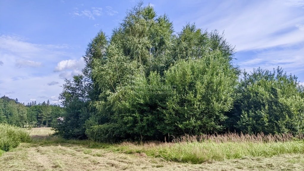 Działka budowlana na sprzedaż Świeradów-Zdrój, Długa  2 000m2 Foto 5